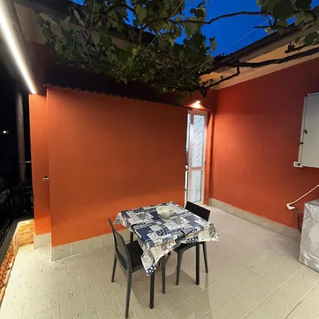 Il Vigneto
